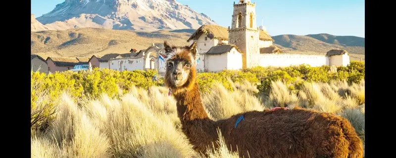 Bolivia