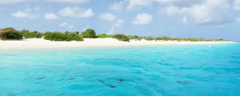 Bonaire, Saint Eustatius and Saba