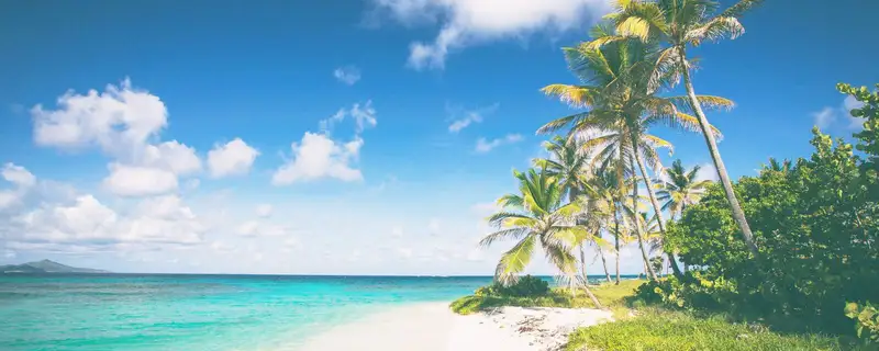 Caribbean