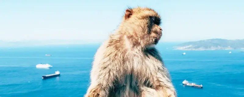 Gibraltar