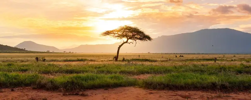 Kenya