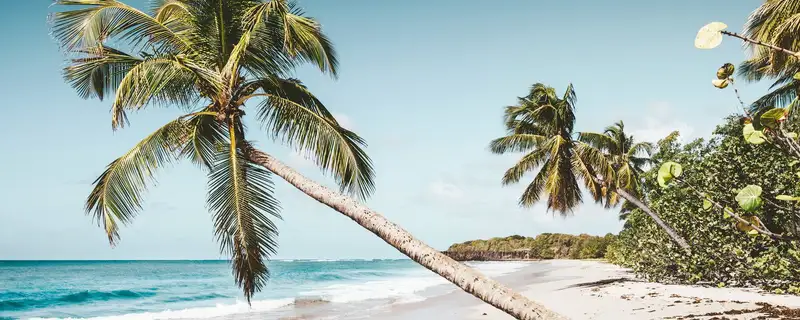 Martinique
