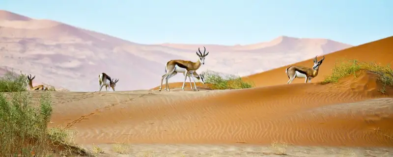 Namibia