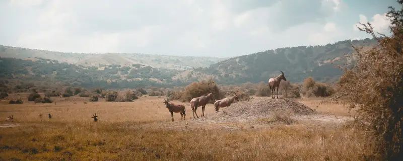 Rwanda