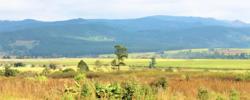 Swaziland