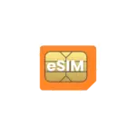 South America logo